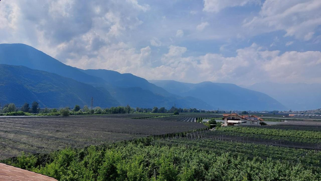 Mittelbergerhof Ferienwohnungen Vilpiano Kültér fotó